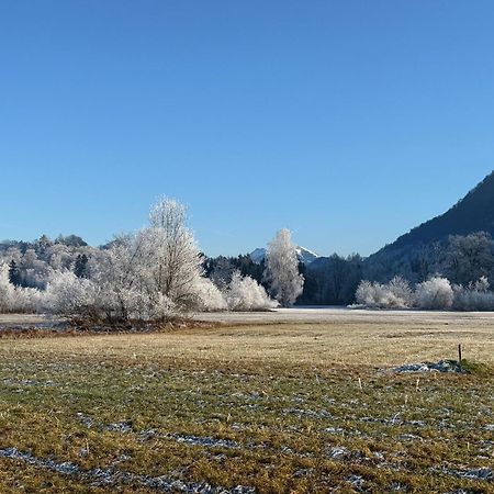 Esterer Grodig Bagian luar foto