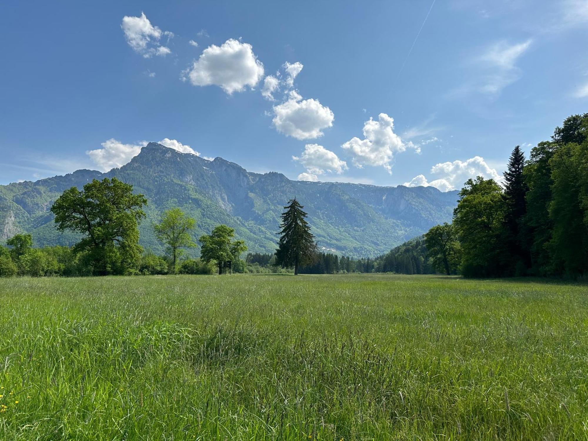 Esterer Grodig Bagian luar foto