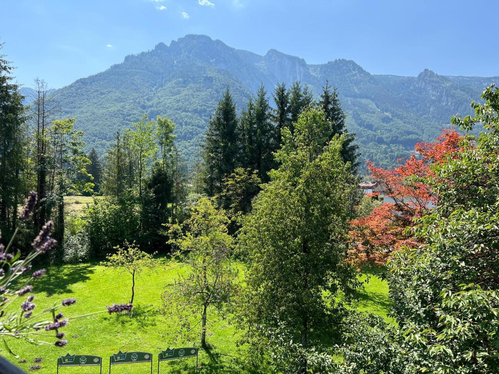 Esterer Grodig Bagian luar foto